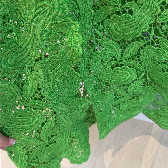 Silvia Tchestassi Green Roxana Lace Maxi Dress hand sewn paisley application - Picture 10 of 14